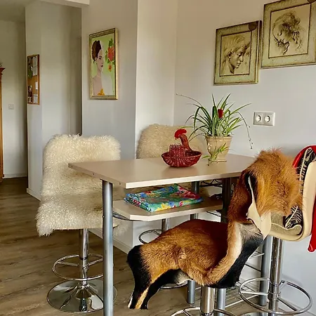 Apartament Altes Zollhaus *