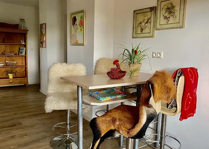 Appartement Altes Zollhaus *